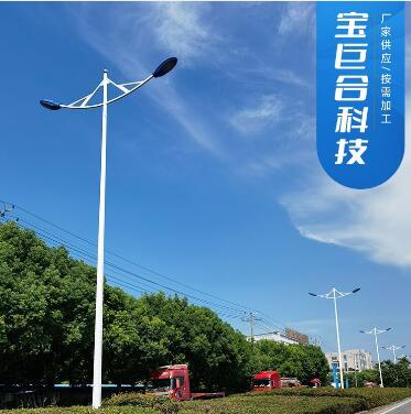 农村与小区街道路灯生产厂家(图1)